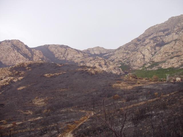 Bilder von Korsika - Bild 43