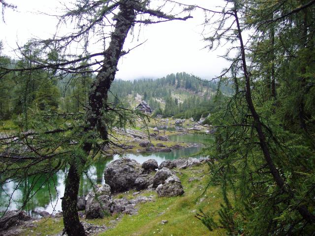 Bild# 39